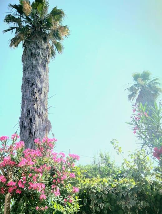 La Casetta Colorata Hotel Катания Екстериор снимка